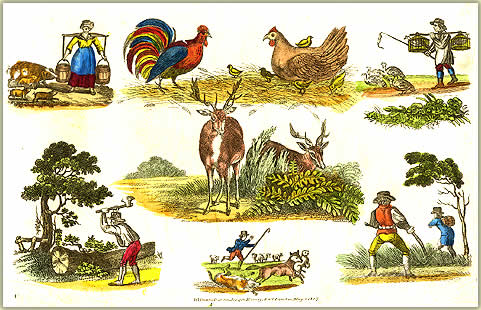 Early Picture Sheet by Willian Darton & Joseph Harvey 1817